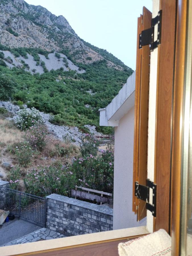 Apartments Sneza Risan Exterior photo